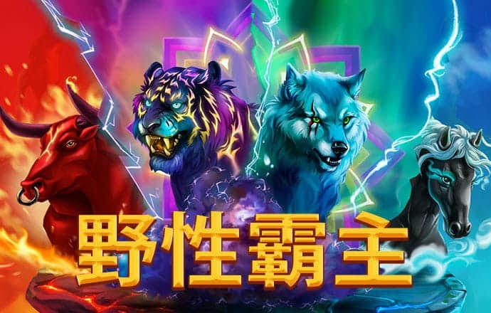 五五世纪官网